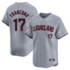 Terry Francona Gray